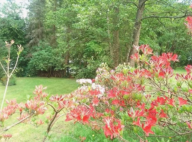 Haus Gaia Holiday home